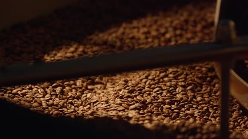 Coffee Beans Being Roasted in a Machine