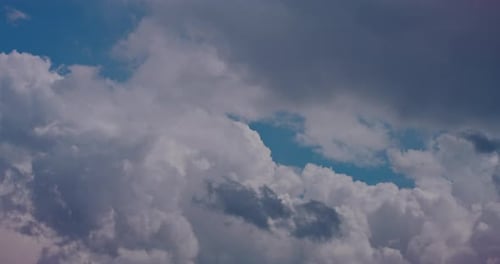 Helle Cumuluswolken, die bei sanftem Tageslicht über einen ruhigen blauen Himmel schweben