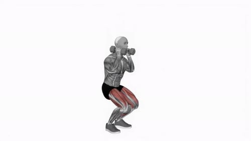 Animated Dumbbell Squat Exercise with Visible Muscles
