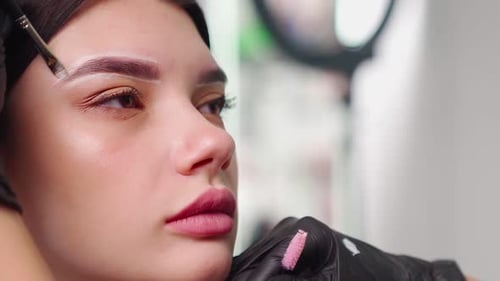Woman Getting Eyebrows Styled With Cosmetics Brush