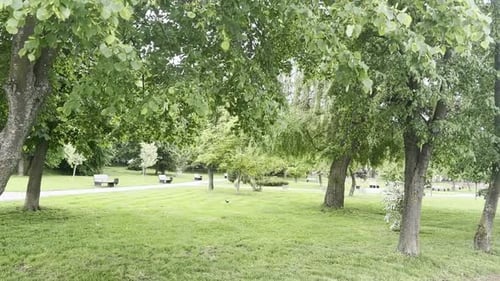 Beautiful city park with green plants and benches. Camera moving