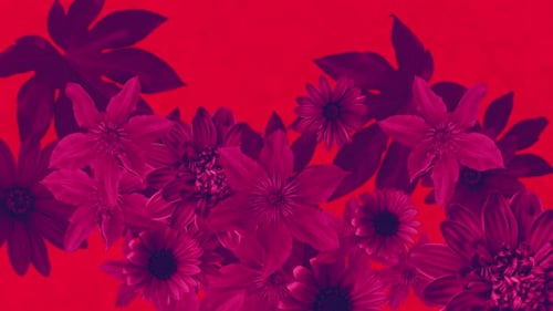 Strukturierter Hintergrund mit Sommerblumen 01