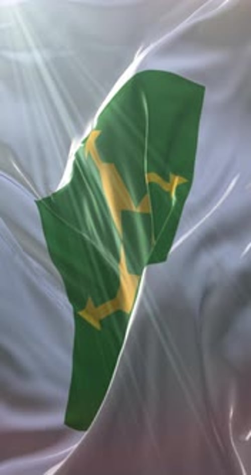 Bandeira de Brasília