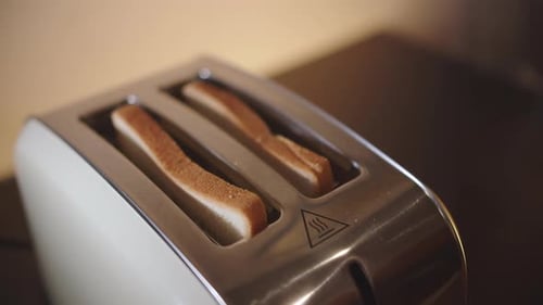 Toast Slices Rising from Toaster in Close Up