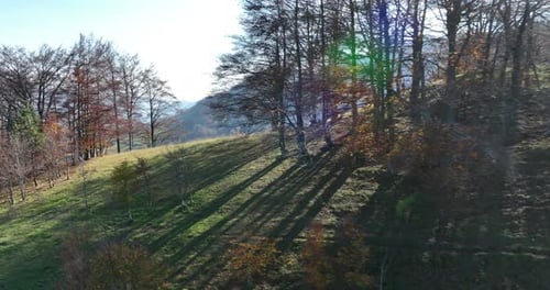 Panorama of Beautiful Countryside of Romania