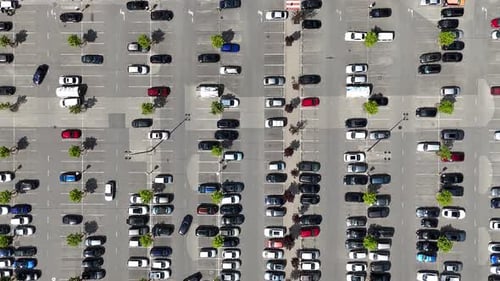 A busy parking lot with rows of cars and small green trees on a sunny day, aerial view