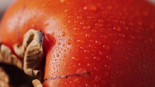 Close up footage of juicy orange fresh sweet persimmon. Source of antioxidants and vitamins.