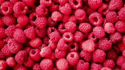 Close Up of Heap of Fresh Red Raspberries
