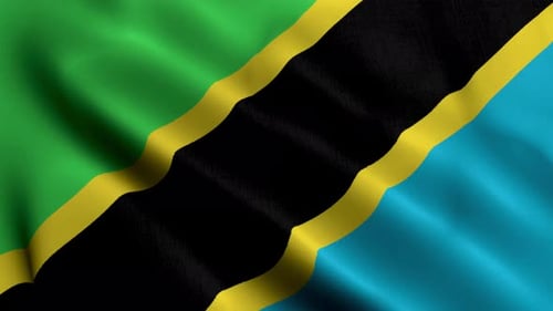 Waving Tanzanian National Flag Seamless Loop