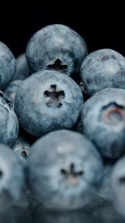Vertical video. Pile of blueberries, dolly zoom. On a black background, focus shifts.