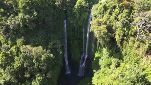 Drone view of Sekumpul waterfall located in Lemukih, Buleleng, Bali, Indonesia