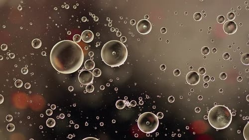 Colorful Oil Bubbles Moving On A Water Surface 113