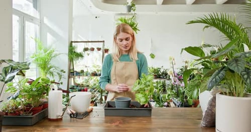 Woman potting plant at table indoors