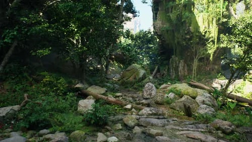 A Rocky Path Through a Forest Mountain Path