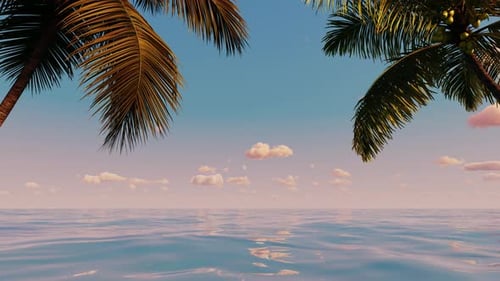 Palm tree over the sea in summer near the beach.