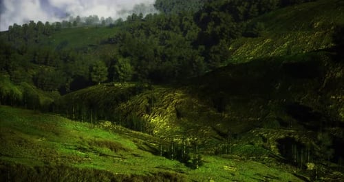 Vibrant Green Landscapes with Lush Hills and Trees Under a Cloudy Sky