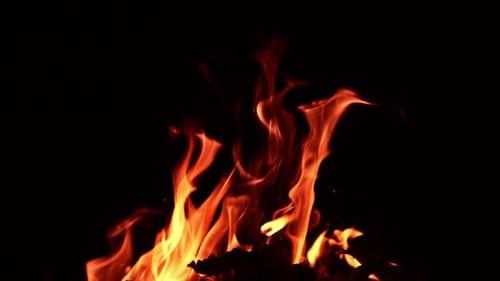 Wood burning in the campfire. Cozy warm view of a beautiful bonfire at night. Close up.