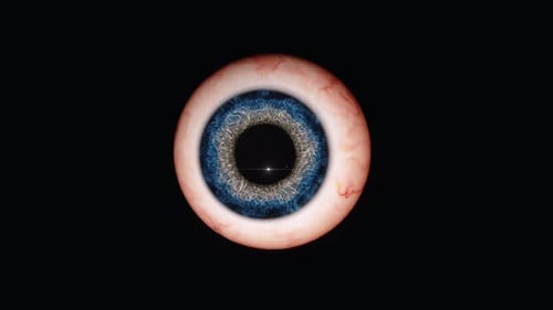 Anatomical Human Eye Pupil Dilation Animation
