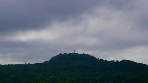 Dynamic time-lapse shot of thick clouds drifting across the sky over a forested mountain.