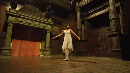 Ballet Dancer Performing a Graceful Routine