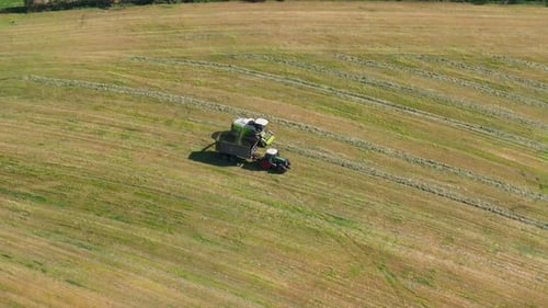 Combine Harvester Unloading Grain In Cargo Trailer Working In The Field - Drone Shot