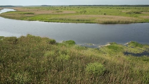 Aerial View of Bog Lands Near the River Valley