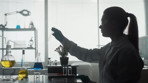 Woman Scientist Works in the Laboratory A Woman Uses a Pipette to Add a Blue Chemical to a Potted