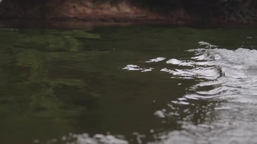 detail of the swell produced by a motorboat while traveling along a river