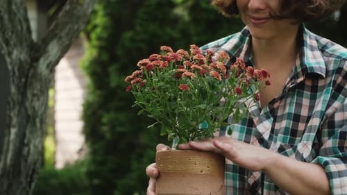 Gardening Hobby Woman Takes Care of Flowering Plant in Pot