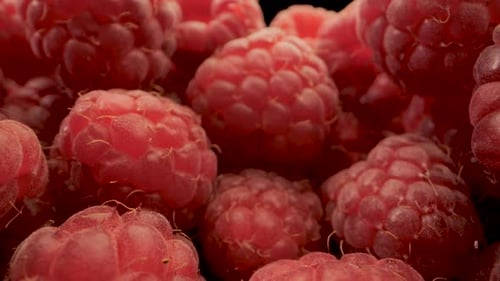 Close Up View of Ripe Raspberries
