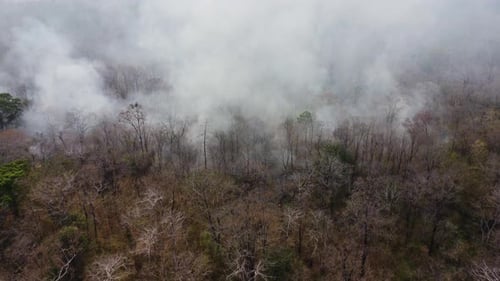Aerial drone view of a wildfire burning through a forest area, fills the sky with dark smoke