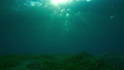 Seegraswiese mit sandigen Hügeln in hellen Sonnenstrahlen bei Sonnenaufgang