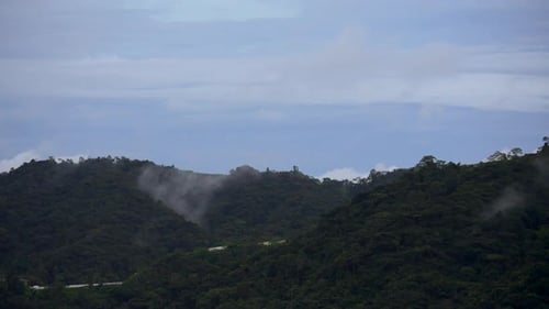 Cloud floating over a village and mountain. Misty fog blowing over tree forest. Raining in forest, s