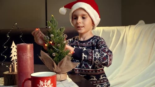 Boy Decorates a Mini Christmas Tree Indoors