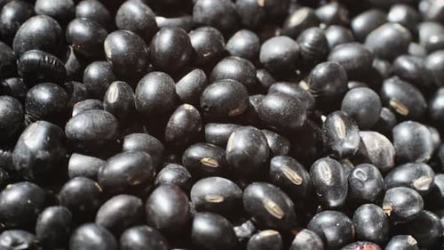 Black Beans Seeds Nuts Grains Plants Close Up Raw Chinese Soy Bean in Supermarket Macro