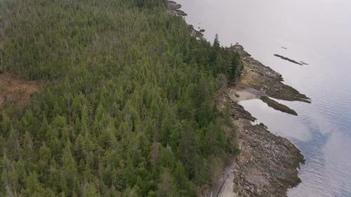 Aerial beauty of Alaska coastal fjords and islands from helicopter view