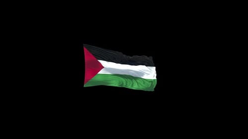 Realistic Waving Flag of Palestine Animation for Projects
