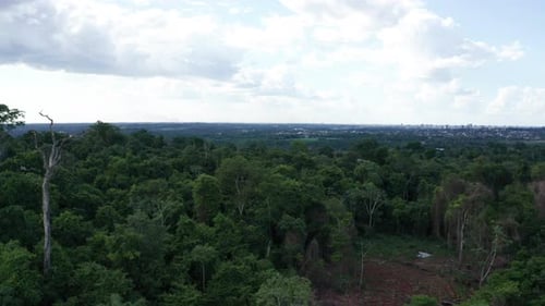 Vue aérienne - Parc national d'Iguazu, Misiones, Argentine, large angle vers l'avant à gauche