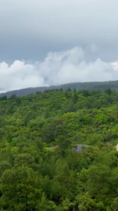 Vertikale Videofilm-Luftaufnahmen von RainKissed Green Forest Serene Journey für Abenteurer