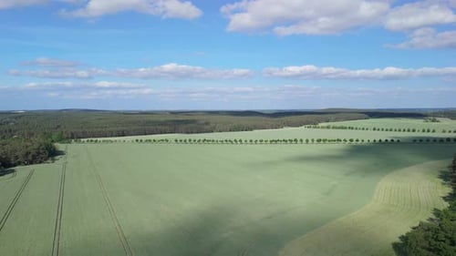 Drone shot slowly pans across green fields and farmland with a forest in the distance on a beautiful