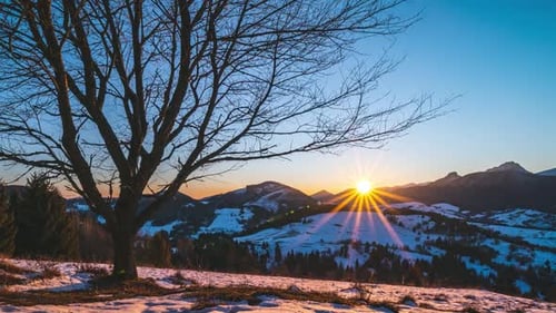Winter Sunrise
