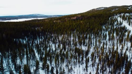 Arctic landscape with forest during winter with the hills in the back from the drone