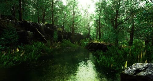 Lush Green Forest Landscape with a Serene Pond Under Soft Sunlight