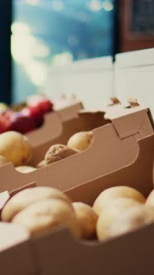 Vertical Video Eco Friendly Homegrown Produce in Crates on Store Shelves