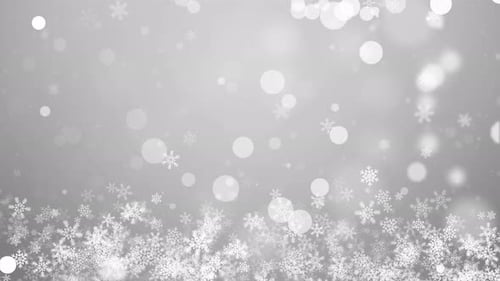 White Falling Snowflakes Snow Stars Dust Particles Bokeh Lights
