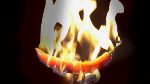 Chili Pepper Engulfed in Fire on Black Background