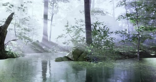 Misty Forest with Shimmering Water Reflecting Sunlight in a Tranquil Setting