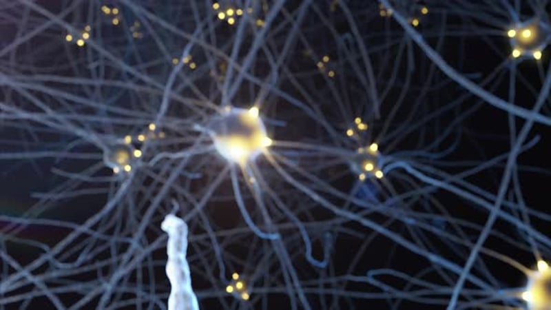 Animation of neuron cells, Backgrounds Motion Graphics ft. neuron ...
