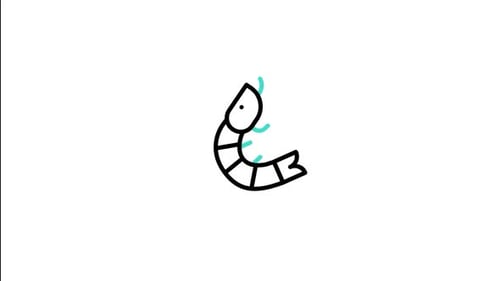 Animated Minimalist Shrimp Line Art Illustration