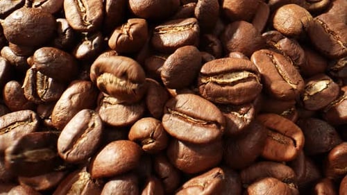 Beautiful coffee beans. Close-up macro video. 4K